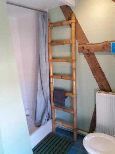 een ladder in een badkamer met een douche en een toilet bij La Berlandière in Le Merlerault