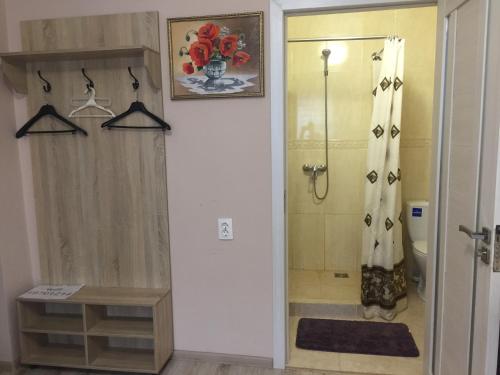 een badkamer met een douche en een inloopdouche bij Private House in Berehove