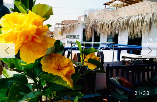 a group of yellow flowers in front of a building at Surf hostel My Friends in Huanchaco