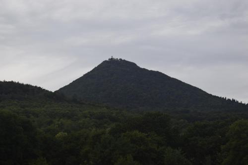 a mountain in the middle of a forest at Chata Václav in Bílina
