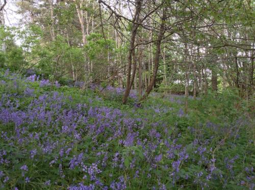 Dower House Newtonmore B&B – Photos 5