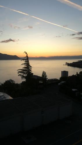 einen Sonnenuntergang über einem Wasserkörper mit einem Baum in der Unterkunft Le fer à cheval in Montreux