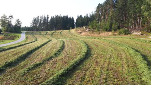 an empty field of crops next to a road at Ferienhaus Buxbaum in Arbesbach