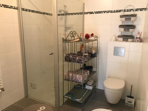 une salle de bain avec douche et toilettes dans l'établissement Les Amarres Aiguillon, à Arcachon