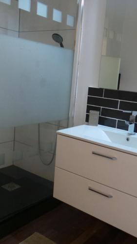 een badkamer met een wastafel en een douche bij 20 rue Gasté, proche gare SNCF de BREST in Brest