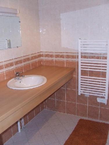 a bathroom with a sink and a mirror at GITE MONTPLAISIR in Trancis