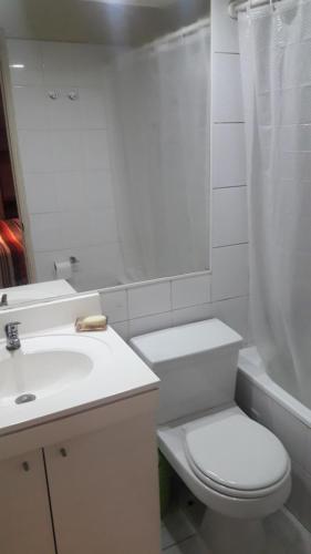 uma casa de banho com um WC, um lavatório e um chuveiro em Dpto 1D 1B, Metro Bellas Artes, equipado full con WiFi em Santiago