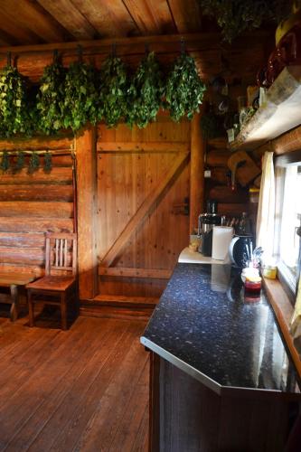 a kitchen with a counter and a wooden wall at Pirts Baudas in Sīveci