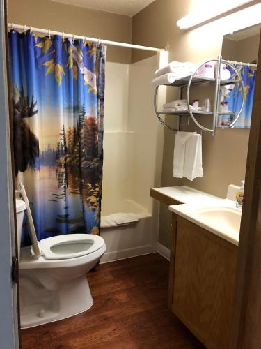 a bathroom with a toilet and a shower curtain at Blue Moon Resort & Motel in Hill City