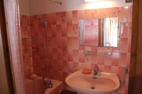 La salle de bains carrelée de rose est pourvue d'un lavabo et d'une douche. dans l'établissement chez Jeannette, à Marcillac-Saint-Quentin