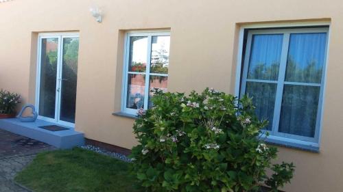 a house with two windows and a bush in front of it at Ruegen_Fewo 24 in Thesenvitz