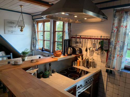una cucina con lavandino e piano cottura forno superiore di Ferienwohnung Warderhof a Sandstedt