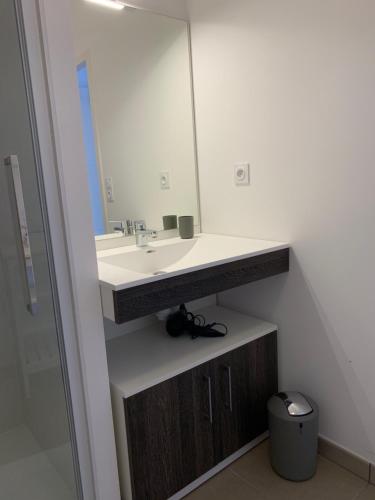 uma casa de banho com um lavatório e um espelho em LE CLOS SAINTE MARIE em Pornic