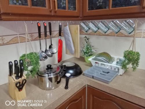a kitchen counter with utensils and plants on it at Basrie Villa Pagoh - Mini Cinema , Karaoke , Private Pool , WiFi , NetFlix in Muar