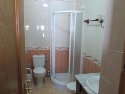 ein Bad mit einer Dusche, einem WC und einem Waschbecken in der Unterkunft alojamiento fernando in Cazorla