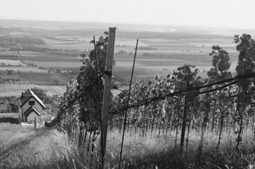 a black and white photo of a farm with a fence at REnthouse - Ferienhaus am Weinberg in Rechnitz