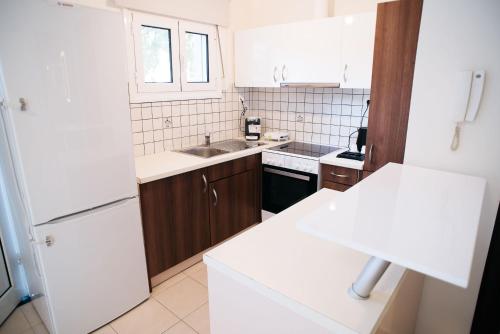 Ioannina City Relax Apartment في يوانينا: مطبخ مع ثلاجة بيضاء ومغسلة