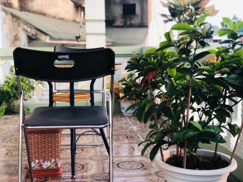 a black chair sitting next to a potted plant at Bach Dai Dung Hotel in Ha Tinh