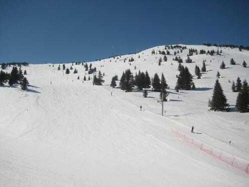 a group of people skiing down a snow covered slope at KOPAONIK-GONDOLA 100m in Brzeće