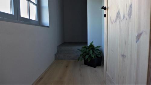 a hallway with a potted plant next to a door at Ořechový dvůr in Velké Nepodřice