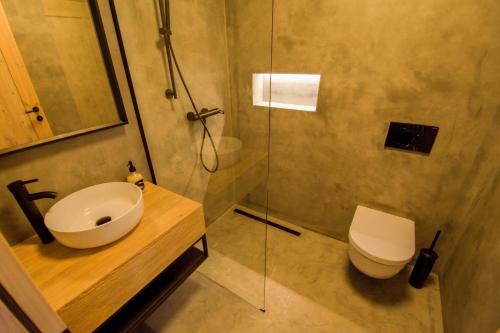 a bathroom with a sink and a toilet and a shower at Ořechový dvůr in Velké Nepodřice