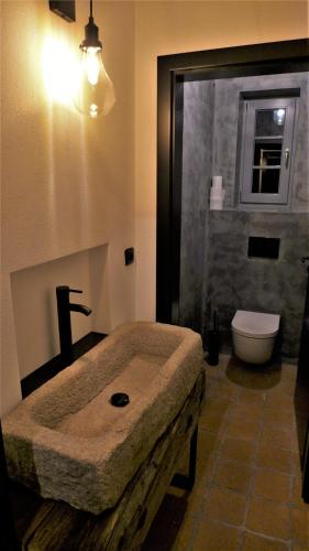 a bathroom with a sink and a toilet at Ořechový dvůr in Velké Nepodřice