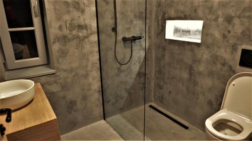 a bathroom with a shower and a toilet at Ořechový dvůr in Velké Nepodřice