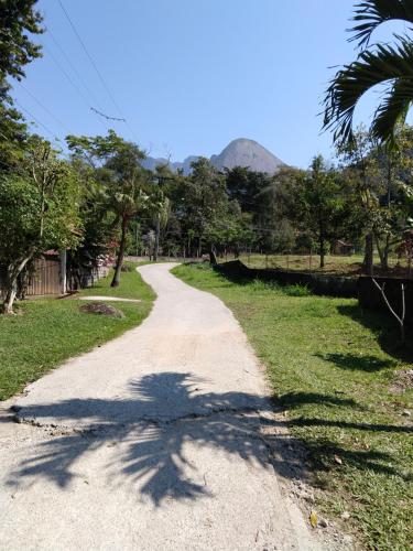 une route menant à une montagne au loin dans l'établissement Casa tia Rosa hospedagem familiar, à Guapimirim