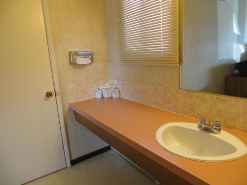 a bathroom with a sink and a mirror at Tara Vista Inn in Hinton