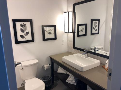 a bathroom with a toilet, sink and mirror at Country Inn & Suites by Radisson, Flagstaff Downtown, AZ in Flagstaff