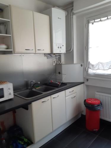 Kuchyň nebo kuchyňský kout v ubytování Charmant appartement au pied du château