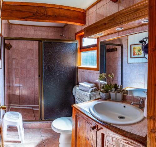 uma casa de banho com um lavatório, um WC e um chuveiro em B&B HMüller em Pucón