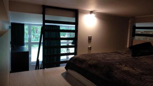 sypialnia z łóżkiem i dużym oknem w obiekcie Apartament 5 przy Parku Leśnym w Polanicy Zdroju