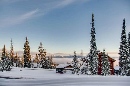 Snowy Creek 8 – Photos 4