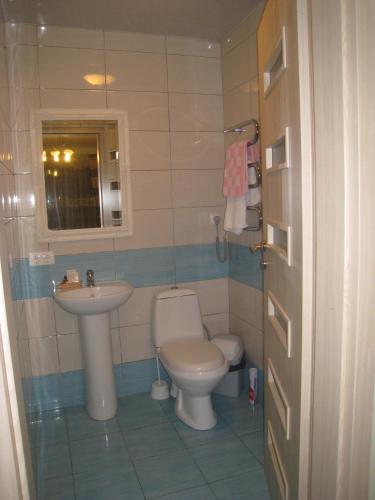 a small bathroom with a toilet and a sink at Aroma Skuodiškio Užeiga in Skuodas