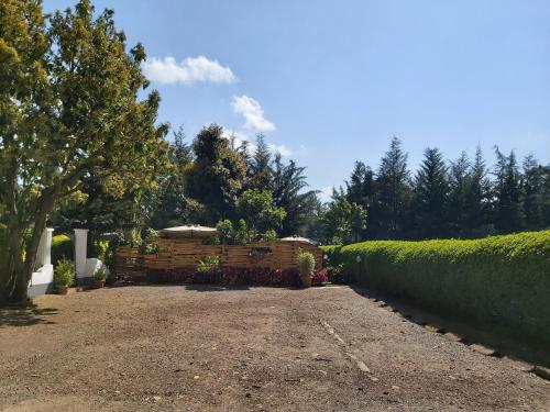 a driveway with a hedge and an umbrella at Sahara Gardens-Kericho in Kericho