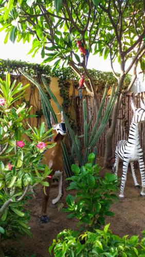 Taman di luar Auberge Keurmariguen
