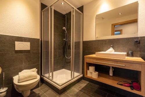a bathroom with a shower and a toilet and a sink at A Casa Elegance in Längenfeld