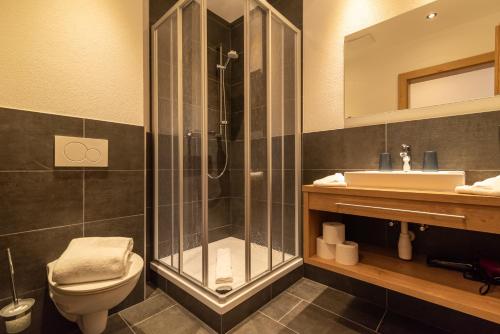 a bathroom with a shower and a toilet and a sink at A Casa Elegance in Längenfeld