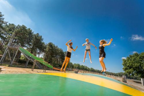 a group of people jumping into a pool of water at Vakantiepark de Bergen in Wanroij