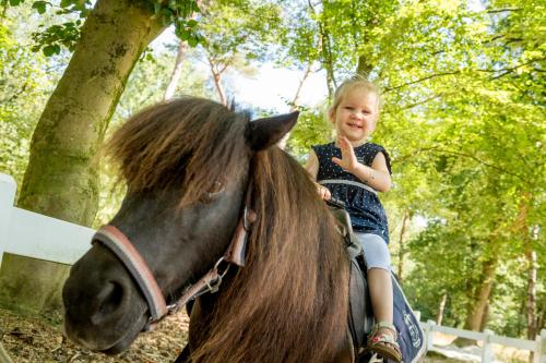 a little girl riding on the back of a horse at Vakantiepark de Bergen in Wanroij