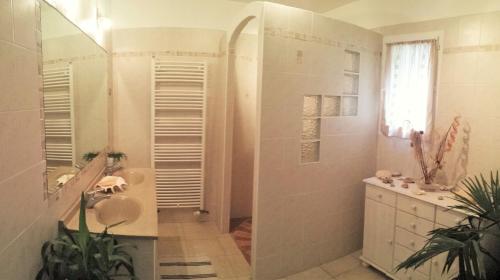 a bathroom with a shower and a sink and a mirror at Autour du Hamac chambres et table d'hôtes in Moltifao
