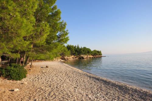 a rocky beach with trees on the shore of a body of water at Apartmani Carević in Baška Voda