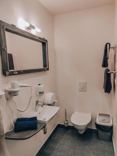a bathroom with a sink and a toilet and a mirror at Ermistu Puhkeküla in Ermistu