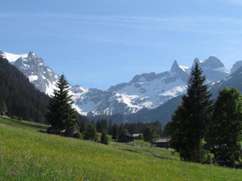 a green field with snow capped mountains in the background at Gauertalhaus - Vollspora in Schruns-Tschagguns
