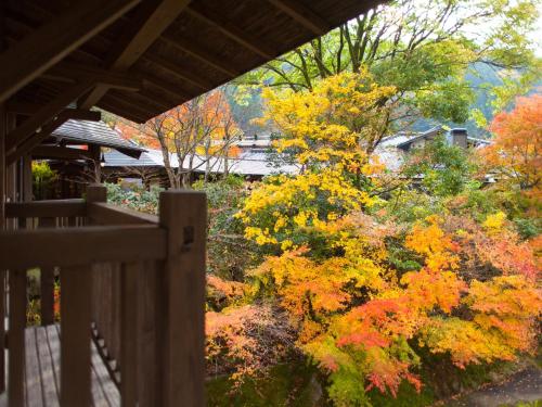 an autumn view of a garden with colorful trees at Yamabiko Ryokan in Minamioguni