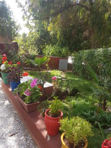 Zahrada ubytování Location Vacances Casablanca Tamaris