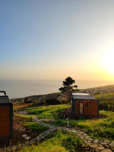 a tiny house in a field with a tree at Calheta Glamping Pods - Nature Retreat in Calheta