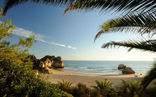 a beach with rocks and the ocean with a palm tree at Pestana Alvor Praia Premium Beach & Golf Resort in Alvor
