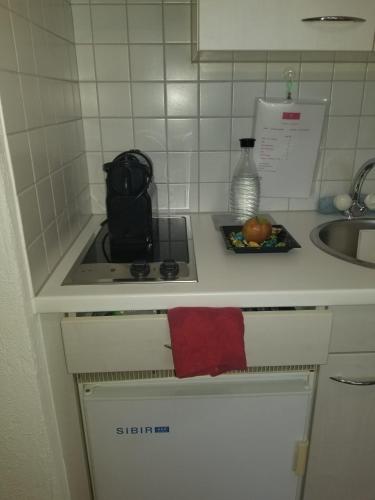a small kitchen with a stove and a sink at Studio direkt am Bodensee in Thal